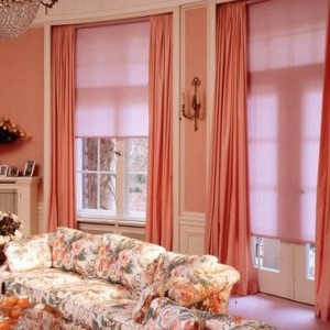 Рулонные шторы в гостиной фото в интерьере пример 1550